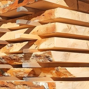 Premium Zirbenbrett - in allen Größen Naturkante und roh